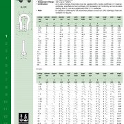 catalogue-Shackle-Green-Pin-G4161