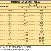 sling-xích-2-chân-10mm sling-xích-2-chân-10mm