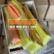 cáp-vải-bản-dẹt-hai-đầu-mắt–-3-tấn-2-mét- cáp-vải-bản-dẹt-hai-đầu-mắt–-3-tấn-2-mét-
