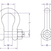 catalog-ma-ní-omega-dai-chang