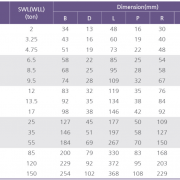 catalogue-shackle-omega-DCH-korea