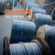 cáp-bọc-nhựa-chằng-ao-tôm-12mm