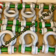 cho-thue-ma-ni-17-tan-green-pin-ha-lan-g4163 cho-thue-ma-ni-17-tan-green-pin-ha-lan-g4163