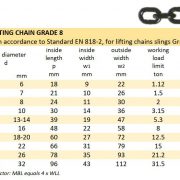 thông-số-kỹ-thuật-xích-đen-cẩu-hàng-5-tấn-mỹ