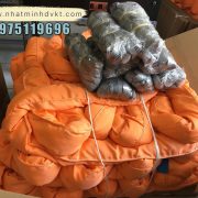 cap-vai-tron-20-tan-5-met-roundsling