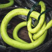 vòng-khuyên-gunnebo-thụy-điển vòng-khuyên-gunnebo-thụy-điển