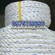 day-pp-40mm-buoc-tau