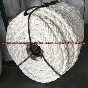 day-pp-64mm-day-buoc-tau