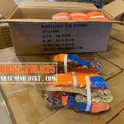 DÂY-CHẰNG-HÀNG-3-TẤN-10-M-LASHING-BELT-CARGO-STRAP