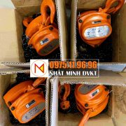 palang-xích-kéo-tay-10-tấn-nitto