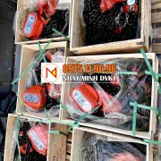 pa-lăng-xích-1-tấn-nitto-chính-hãng