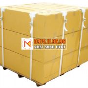 CON-BỌ-TĂNG-DÂY-ĐAI-CHẰNG-HÀNG-STRAP-BUCKLE-