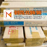 SỨ-LÓT-ĐƯỜNG-HÀN-WS-601-