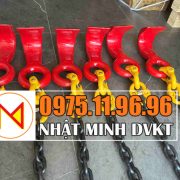 Móc-cẩu-tôn-5-tấn-SLR