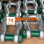 MA-NÍ-55-TẤN- Green Pin